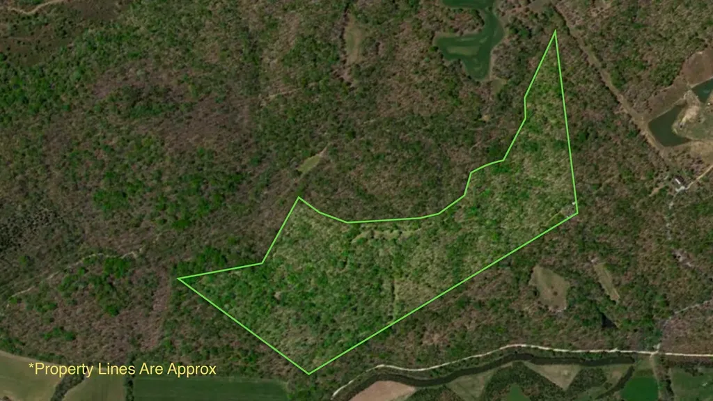 0 Little Hurricane Creek Mc Ewen TN 37101
