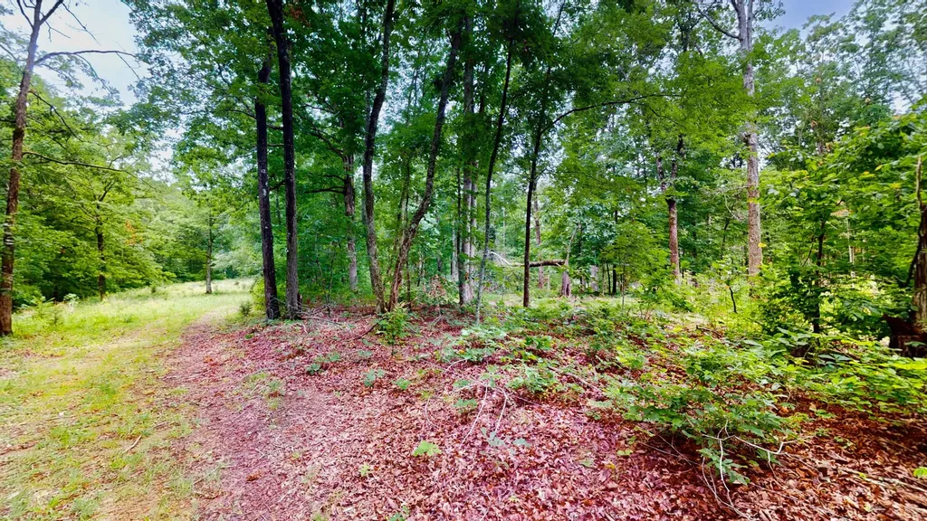 0 Little Hurricane Creek Mc Ewen TN 37101