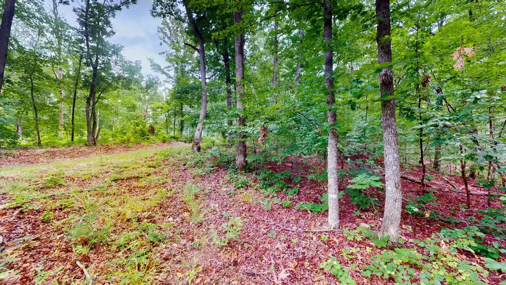0 Little Hurricane Creek Mc Ewen TN 37101