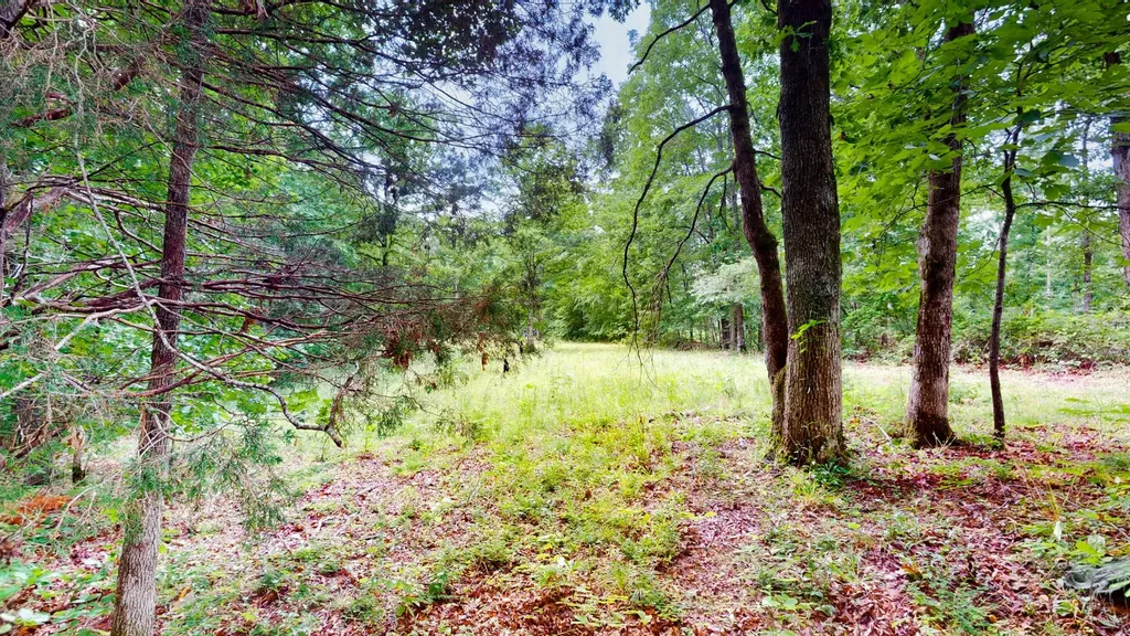 0 Little Hurricane Creek Mc Ewen TN 37101