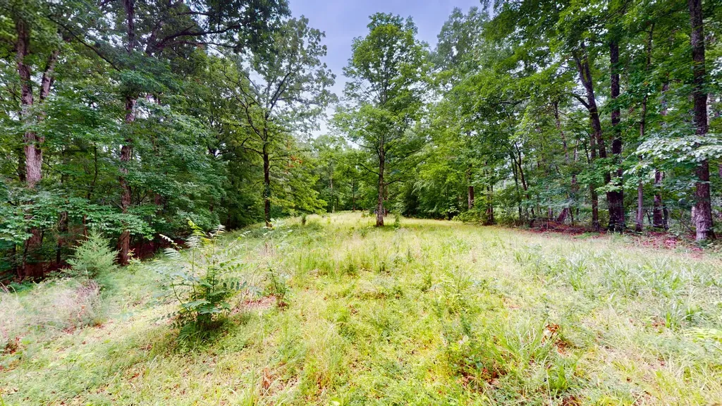 0 Little Hurricane Creek Mc Ewen TN 37101