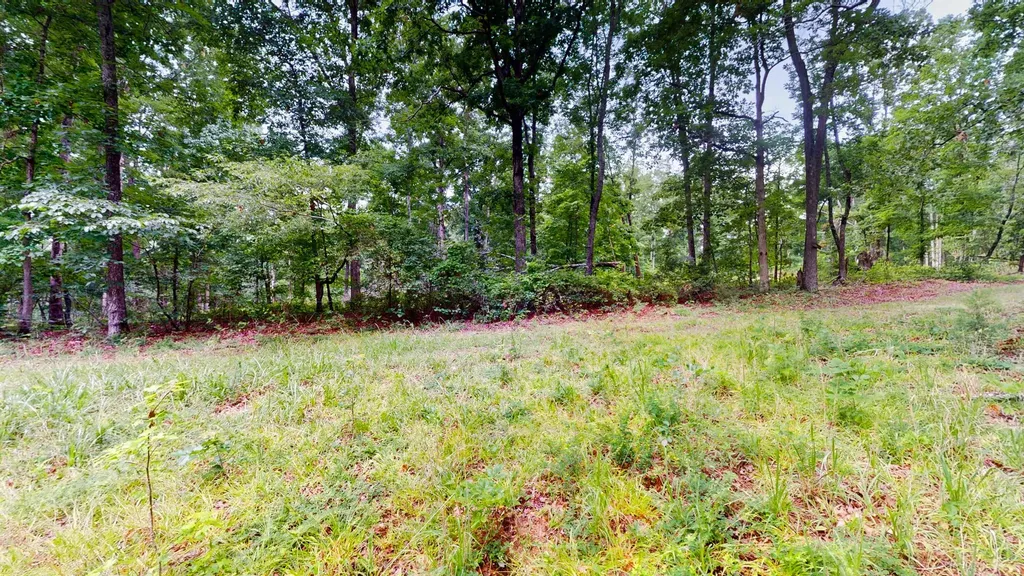 0 Little Hurricane Creek Mc Ewen TN 37101