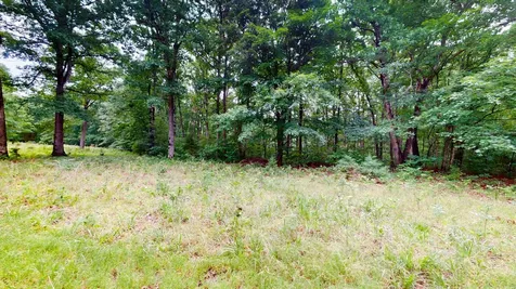 0 Little Hurricane Creek Mc Ewen TN 37101