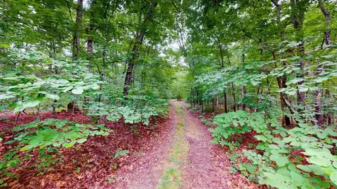 0 Little Hurricane Creek Mc Ewen TN 37101