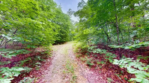 0 Little Hurricane Creek Mc Ewen TN 37101