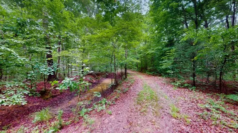 0 Little Hurricane Creek Mc Ewen TN 37101