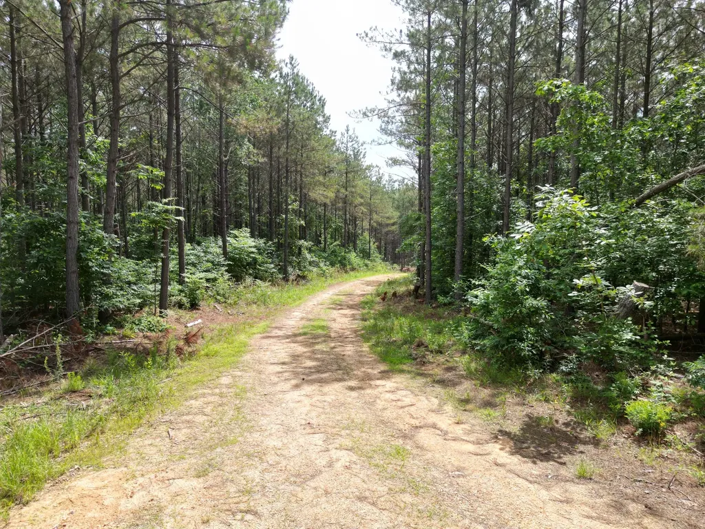 105 Alfred Lane Hohenwald TN 38462