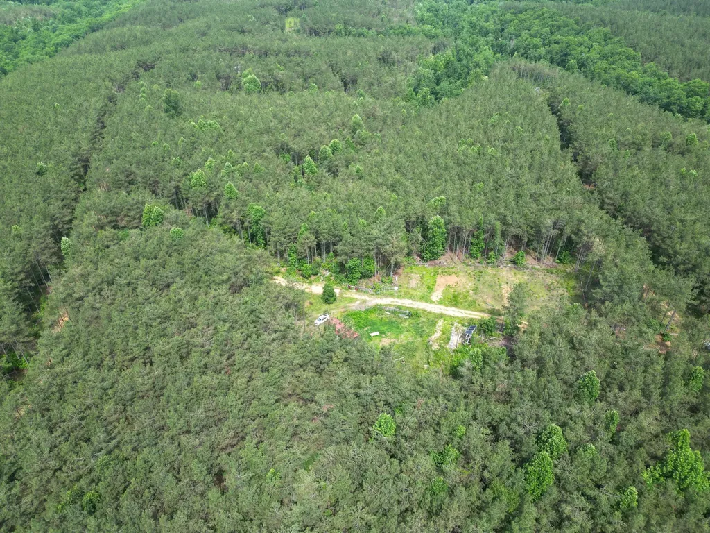 105 Alfred Lane Hohenwald TN 38462