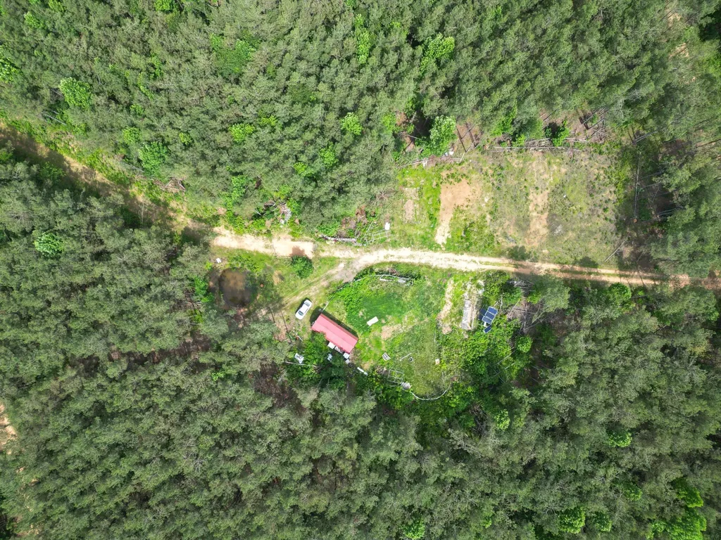 105 Alfred Lane Hohenwald TN 38462