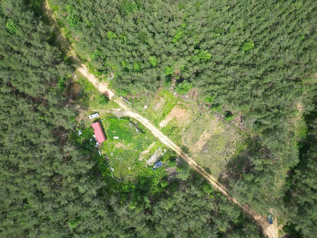 105 Alfred Lane Hohenwald TN 38462