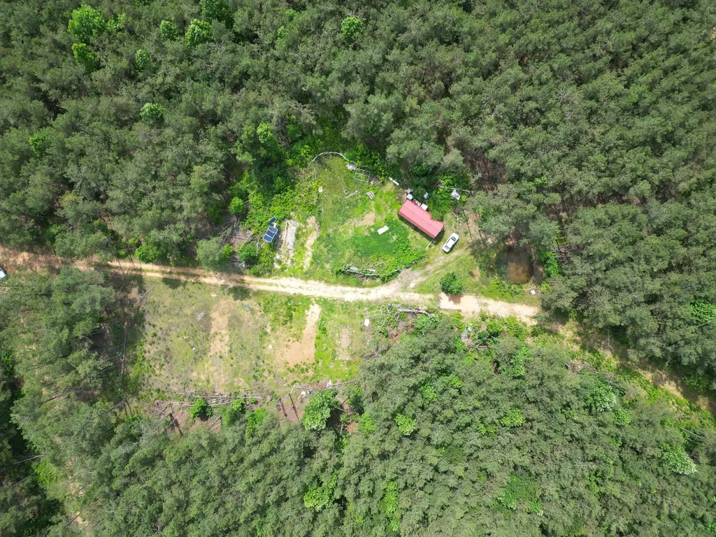105 Alfred Lane Hohenwald TN 38462