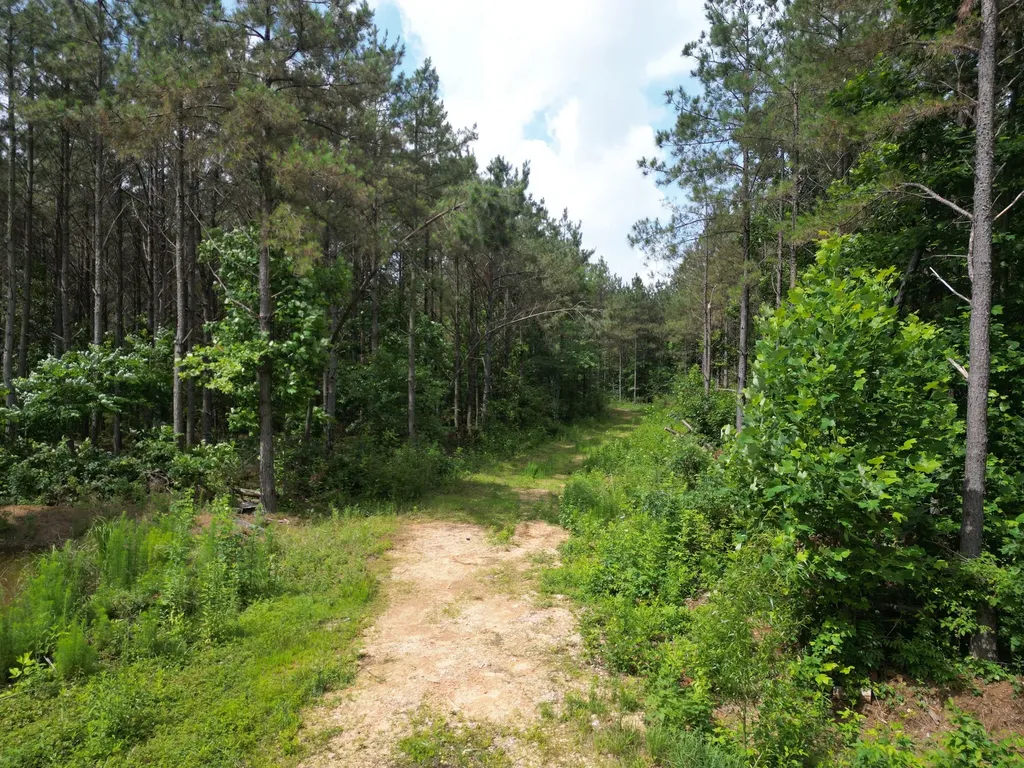 105 Alfred Lane Hohenwald TN 38462