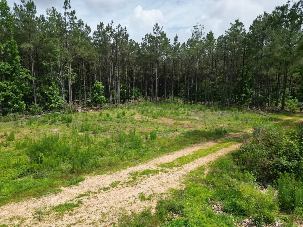 105 Alfred Lane Hohenwald TN 38462