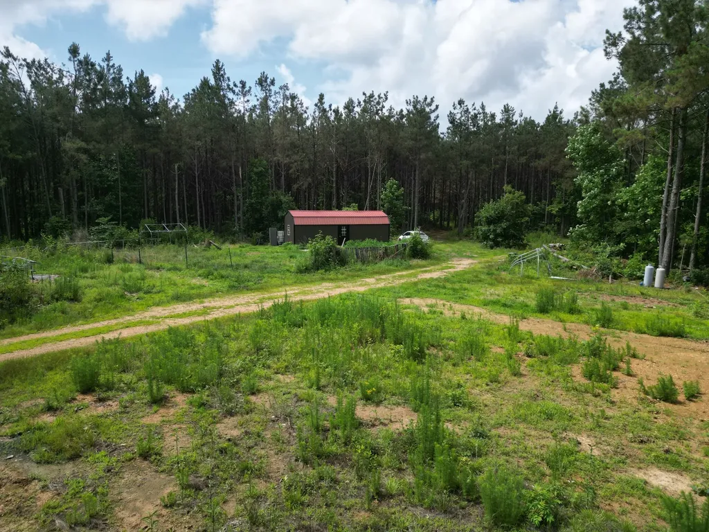 105 Alfred Lane Hohenwald TN 38462