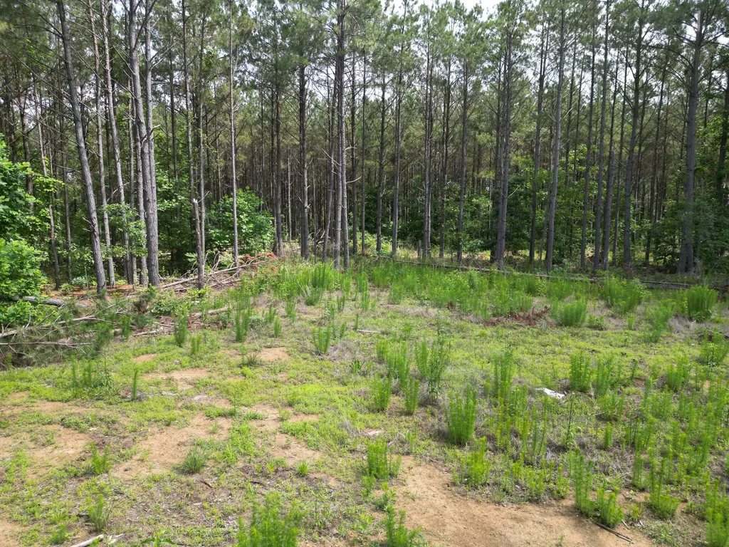 105 Alfred Lane Hohenwald TN 38462