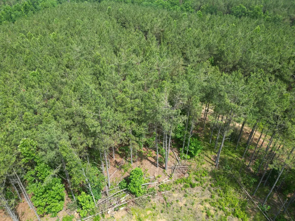 105 Alfred Lane Hohenwald TN 38462