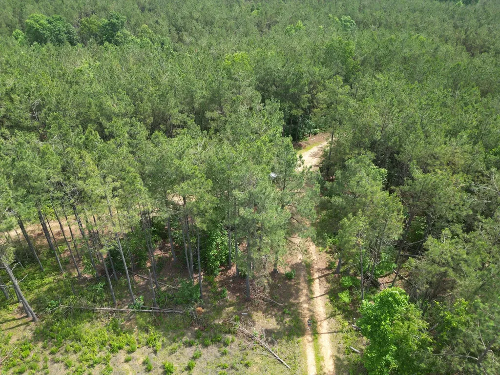 105 Alfred Lane Hohenwald TN 38462