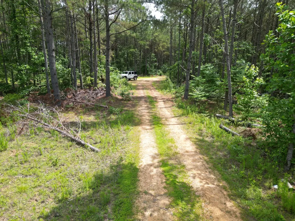 105 Alfred Lane Hohenwald TN 38462