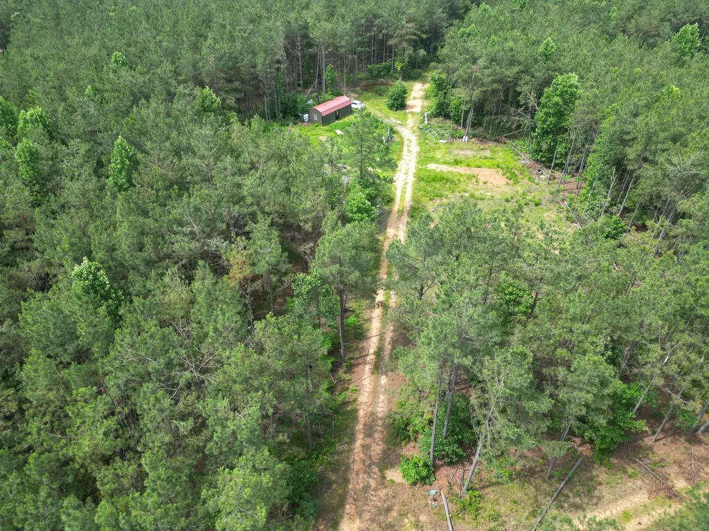 105 Alfred Lane Hohenwald TN 38462
