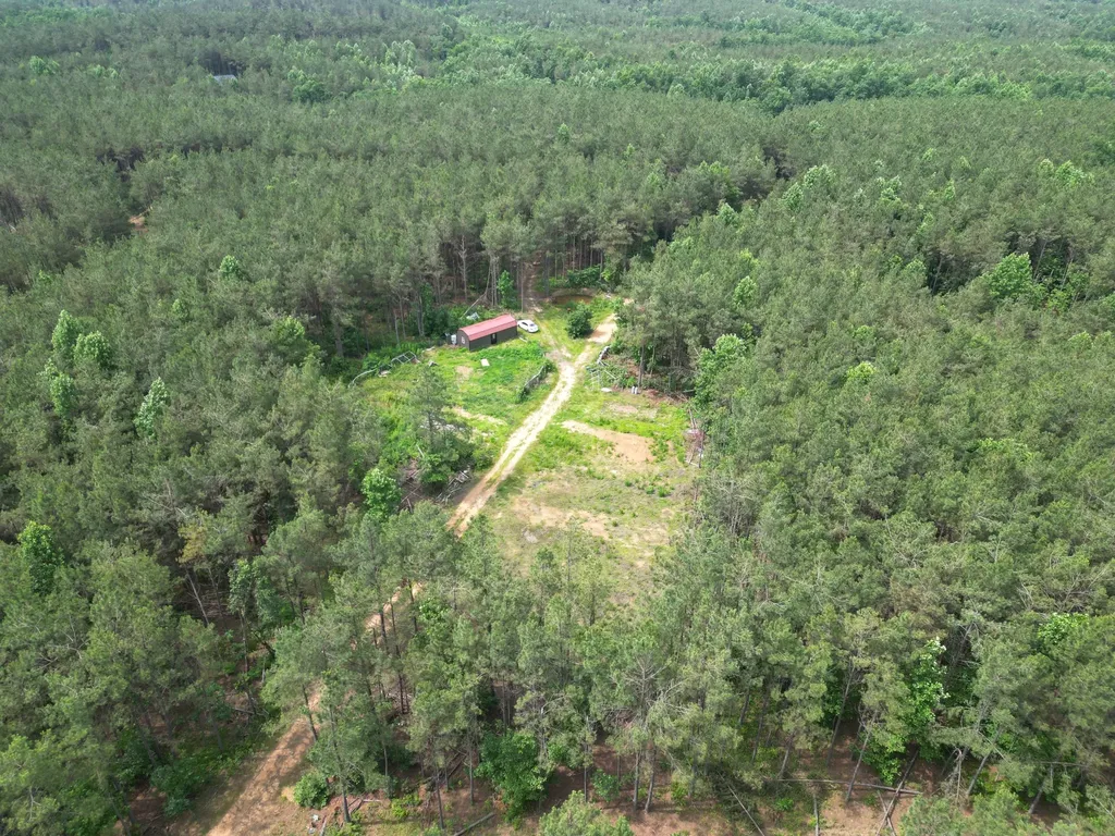 105 Alfred Lane Hohenwald TN 38462