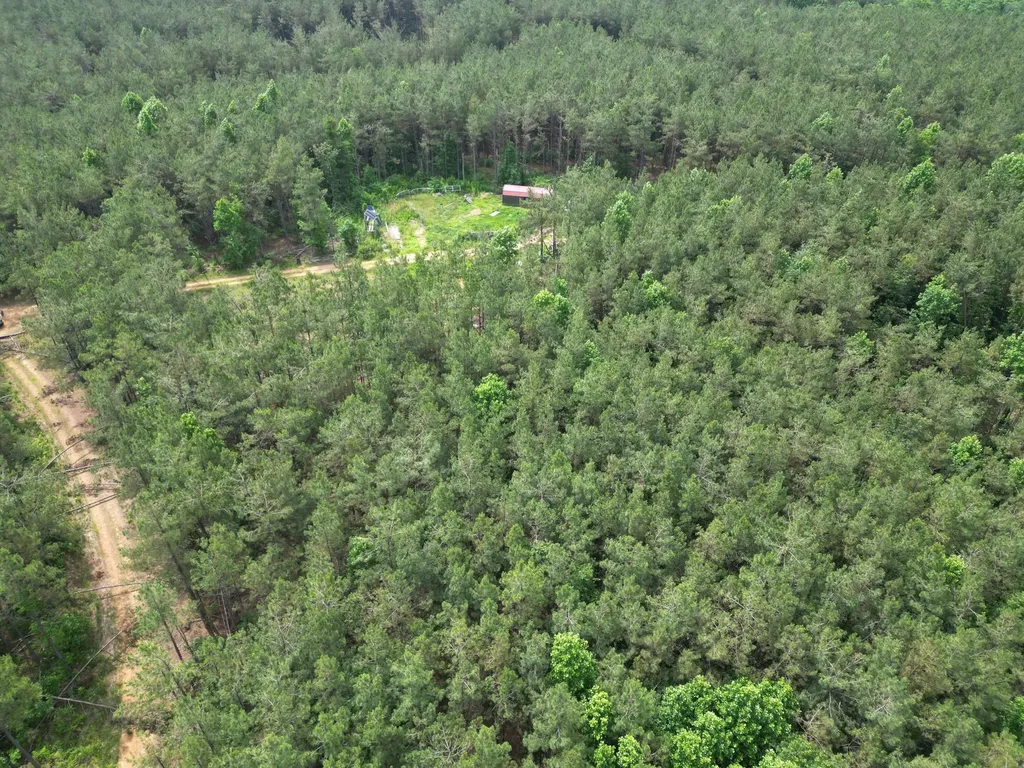 105 Alfred Lane Hohenwald TN 38462