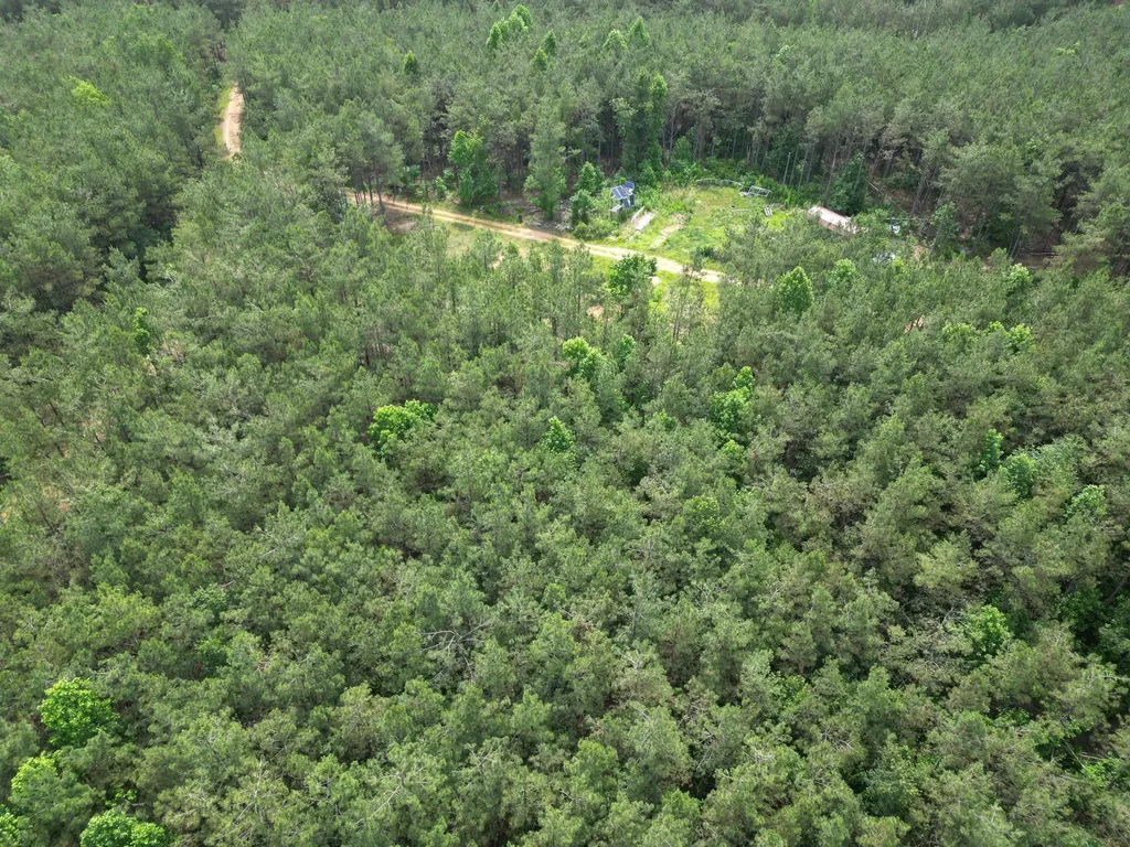 105 Alfred Lane Hohenwald TN 38462