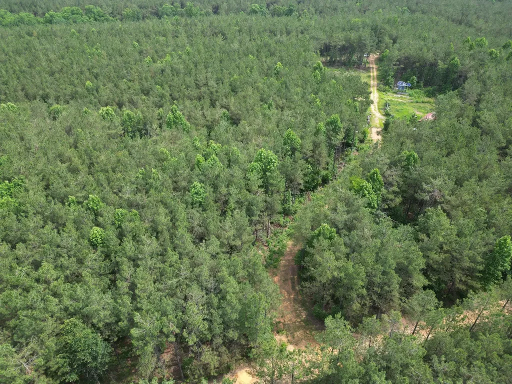 105 Alfred Lane Hohenwald TN 38462
