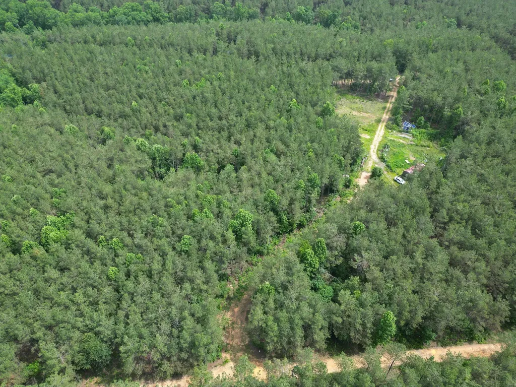 105 Alfred Lane Hohenwald TN 38462