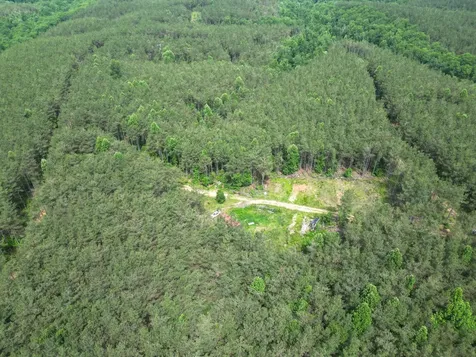 105 Alfred Lane Hohenwald TN 38462