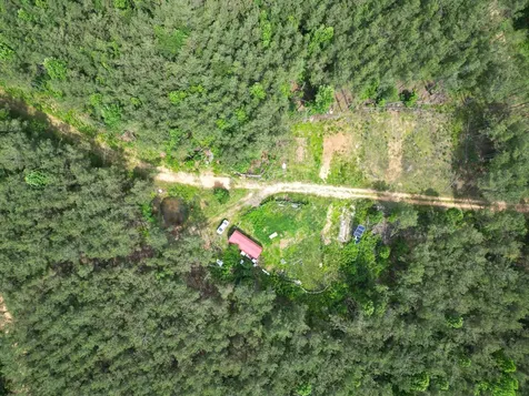 105 Alfred Lane Hohenwald TN 38462