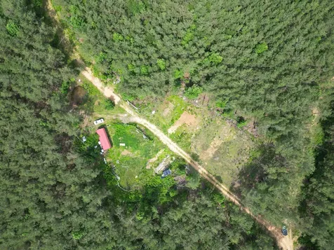 105 Alfred Lane Hohenwald TN 38462