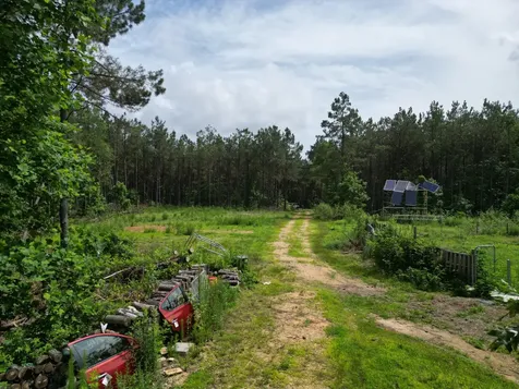 105 Alfred Lane Hohenwald TN 38462