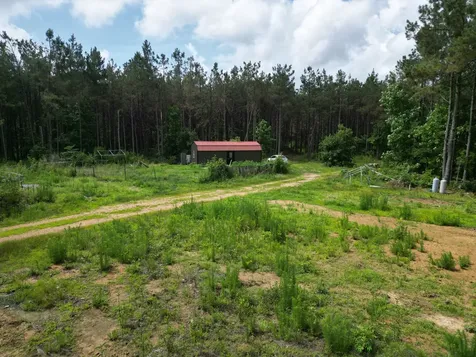 105 Alfred Lane Hohenwald TN 38462