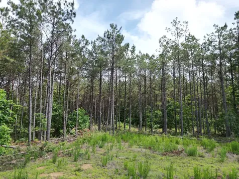 105 Alfred Lane Hohenwald TN 38462
