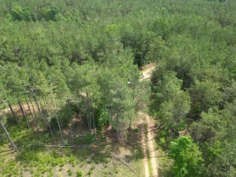 105 Alfred Lane Hohenwald TN 38462