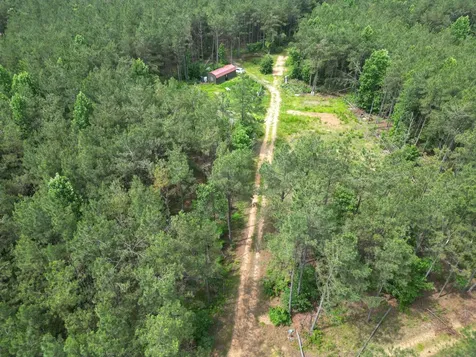 105 Alfred Lane Hohenwald TN 38462