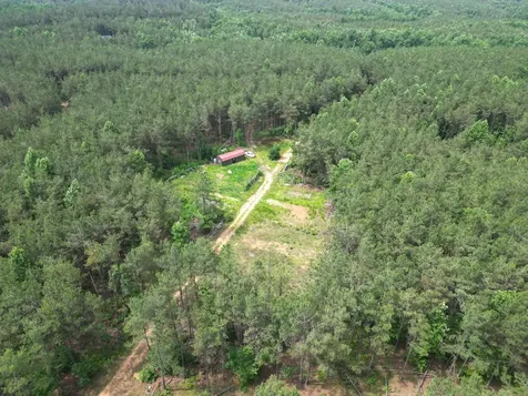 105 Alfred Lane Hohenwald TN 38462