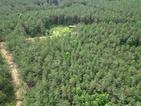 105 Alfred Lane Hohenwald TN 38462