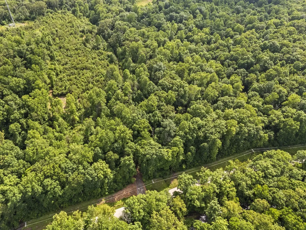 0 Crow Cut Road Fairview TN 37062