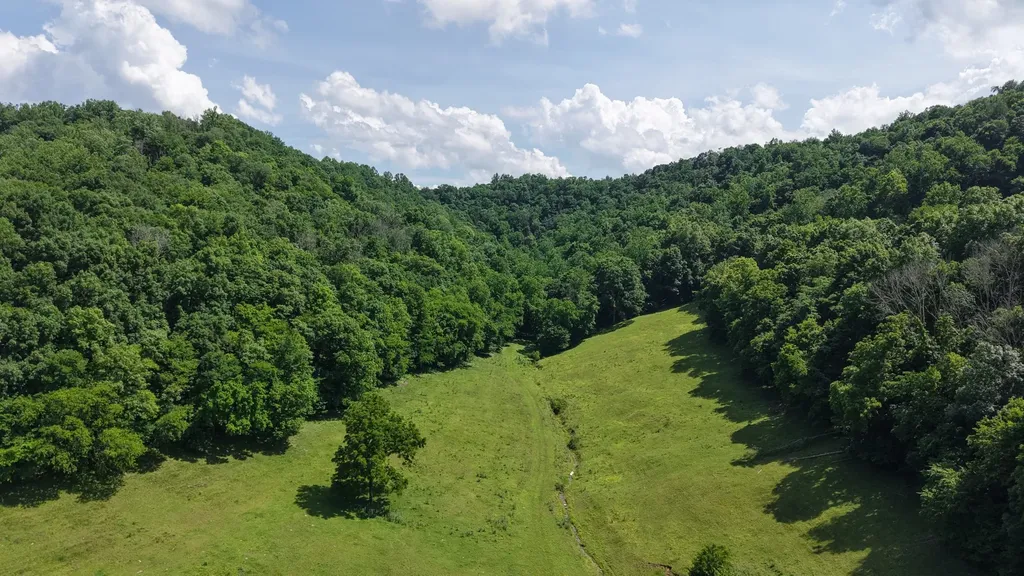 1358 Dry Branch Road Dixon Springs TN 37057