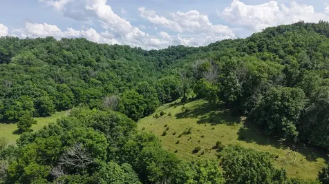1358 Dry Branch Road Dixon Springs TN 37057