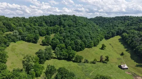 1358 Dry Branch Road Dixon Springs TN 37057