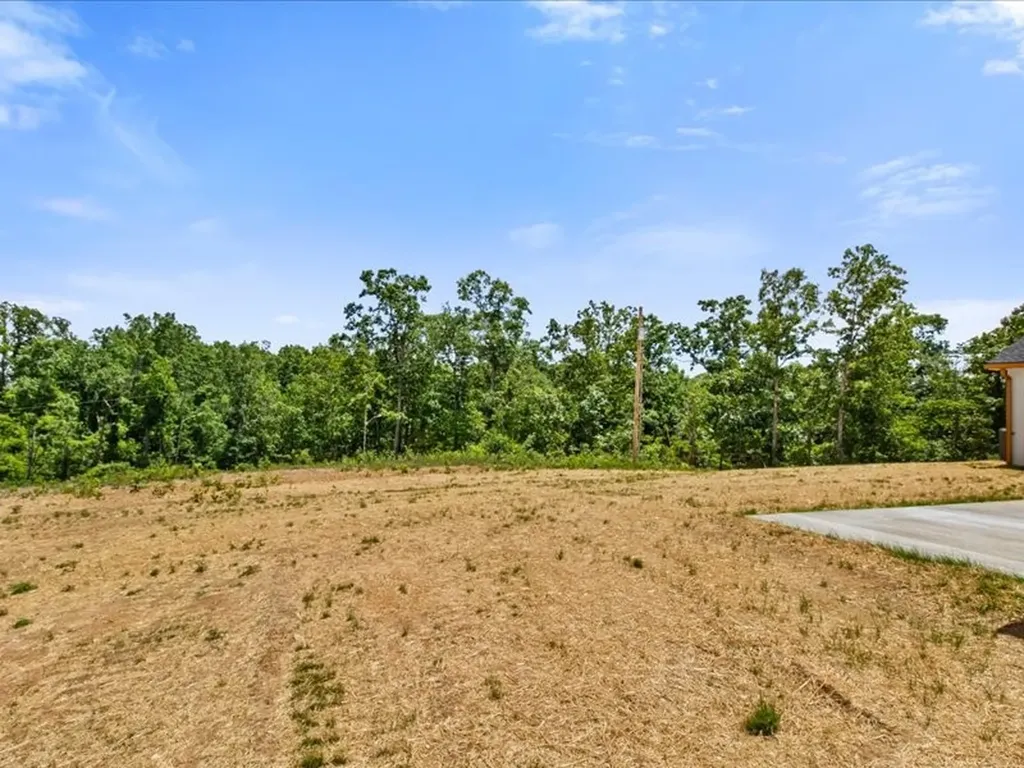 1461 Little Swan Creek Hohenwald TN 38462