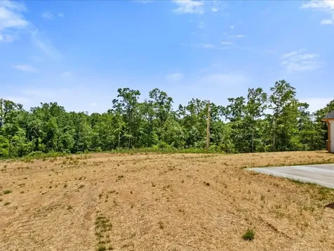 1461 Little Swan Creek Hohenwald TN 38462
