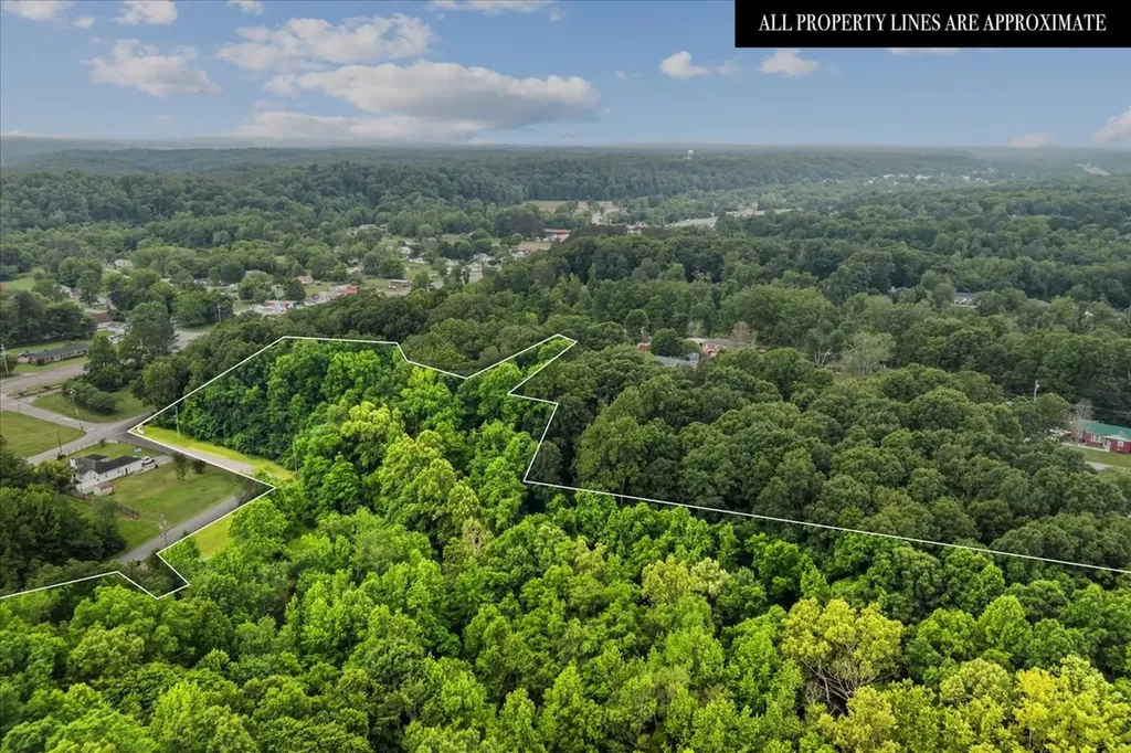 0 Railroad Street Waverly TN 37185