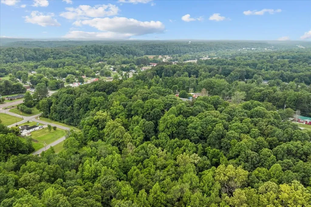 0 Railroad Street Waverly TN 37185