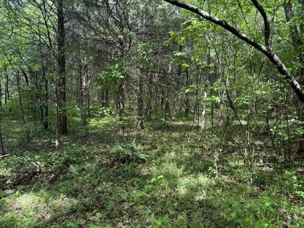 0 Teeters Road Morrison TN 37357