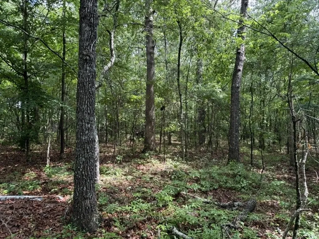 0 Teeters Road Morrison TN 37357