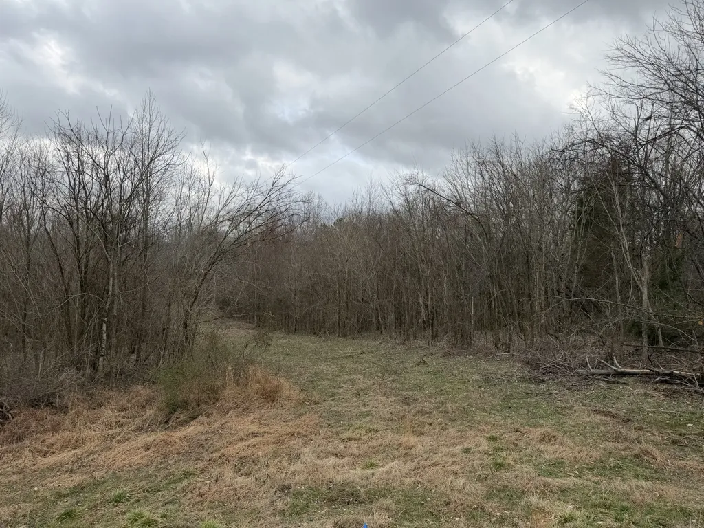 0 City Park Road Westmoreland TN 37186