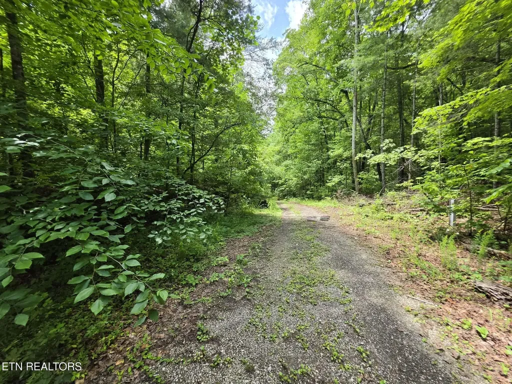 195 Sherwood Lane Harriman TN 37748